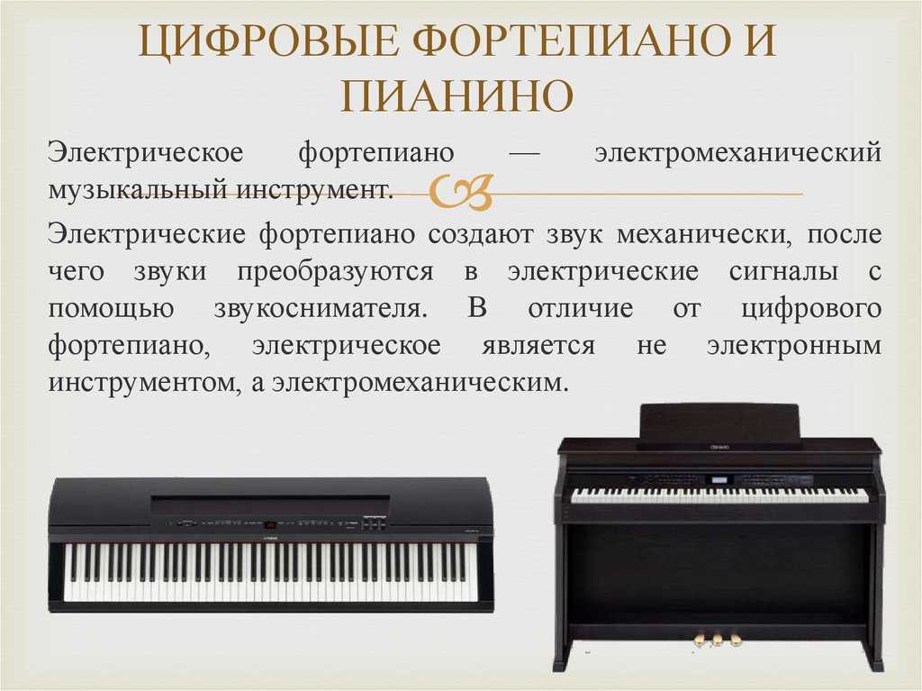 Как правильно выбрать цифровое пианино