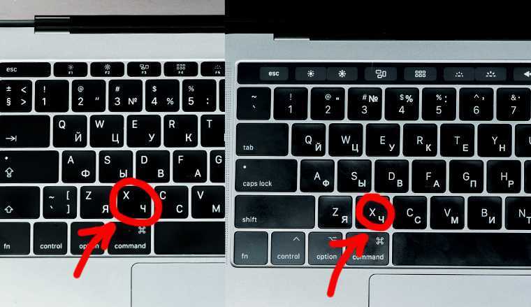 Как разблокировать клавиатуру на ноутбуке: пошаговая инструкция
