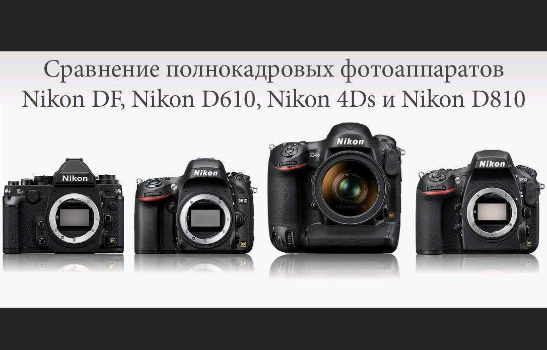 Canon nikon сравнение. Nikon линейка полнокадровых фотоаппаратов. Фотоаппарат Размеры. Фотоаппарат профессиональный полнокадровый Кэнон. Сравнение фотоаппаратов.