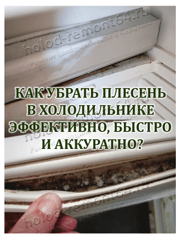 Как вывести плесень из холодильника