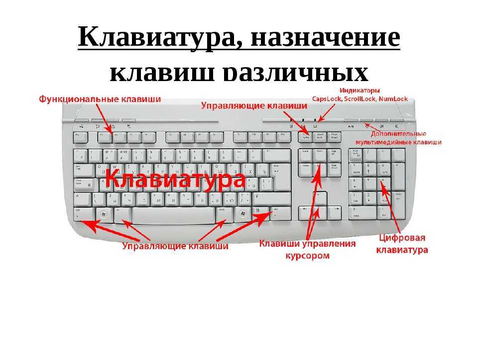 Как пользоваться нажатом. Схема назначений клавиш на клавиатуре. Назначение комбинаций клавиш клавиатуры. Клавиатура компьютера клавиши Назначение клавиш.