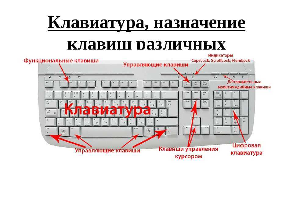 Управляющая клавиатура. Клавиши сбоку на клавиатуре название. Схема назначений клавиш на клавиатуре. Обозначение клавиш на клавиатуре компьютера для начинающих. Назначение функциональных клавиш на клавиатуре.