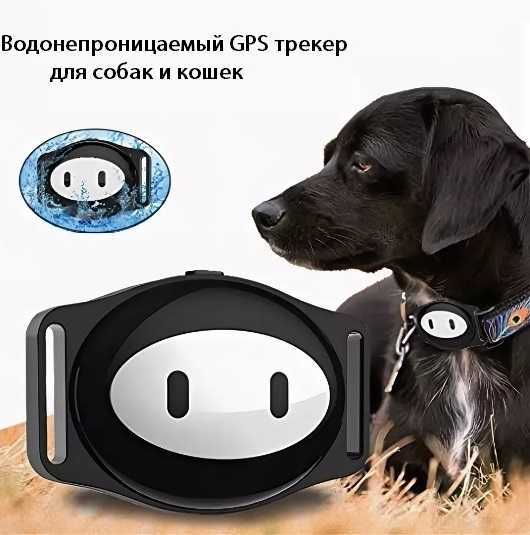 Как выбрать gps-трекер для собаки - лучшие модели gps ошейников