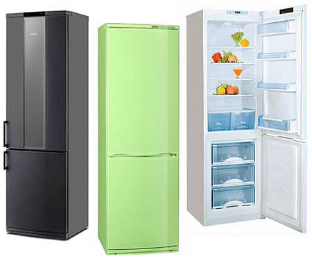 Какой холодильник лучше: атлант, бирюса, индезит?