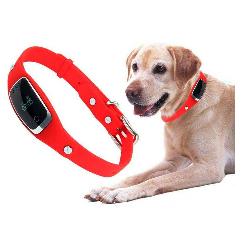 Жпс для собак. GPS Tracker Pets (ошейник)771,11. Ошейник для собак Pet GPS Collar s1. Трекер для охотничьих собак. GPS трекер для собак.