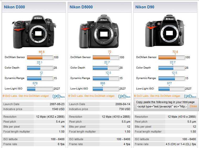 Canon nikon сравнение. Камера Nikon 90d. Nikon, модель: d90. Линейка фотоаппаратов Nikon по годам.